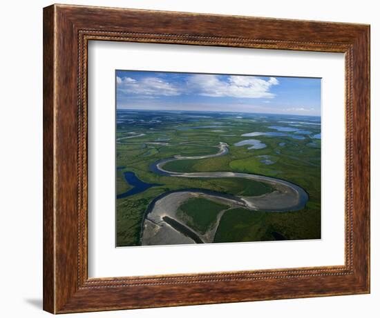 Tundra in Alaska-Danny Lehman-Framed Photographic Print