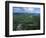 Tundra in Alaska-Danny Lehman-Framed Photographic Print