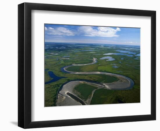 Tundra in Alaska-Danny Lehman-Framed Photographic Print