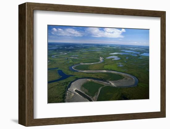 Tundra in Alaska-Danny Lehman-Framed Photographic Print