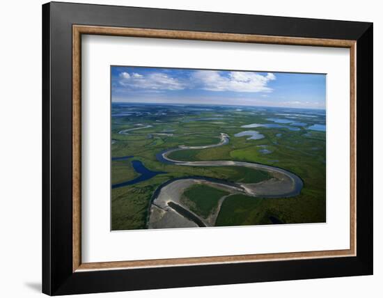 Tundra in Alaska-Danny Lehman-Framed Photographic Print