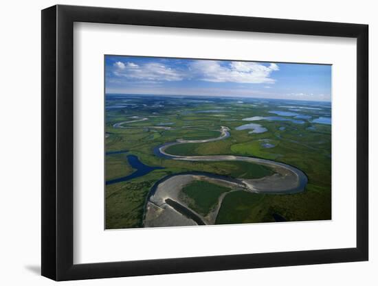 Tundra in Alaska-Danny Lehman-Framed Photographic Print