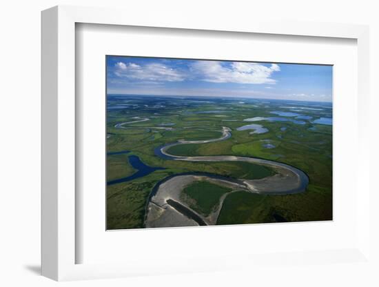 Tundra in Alaska-Danny Lehman-Framed Photographic Print