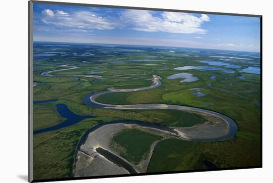 Tundra in Alaska-Danny Lehman-Mounted Photographic Print