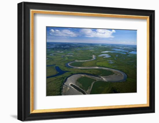 Tundra in Alaska-Danny Lehman-Framed Photographic Print