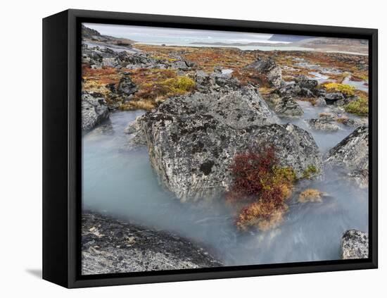 Tundra near glacier Eqip (Eqip Sermia) in western Greenland, Denmark-Martin Zwick-Framed Premier Image Canvas