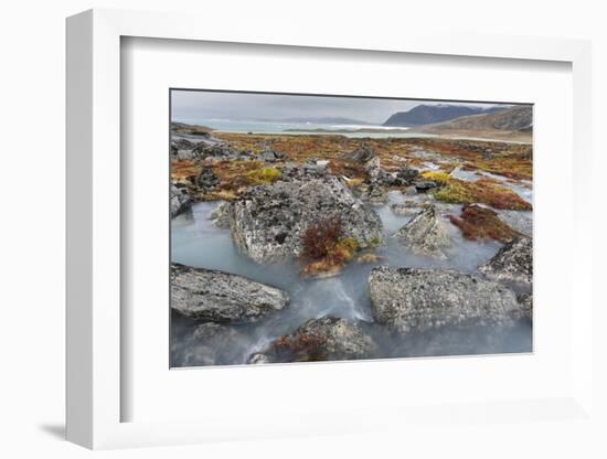 Tundra near glacier Eqip (Eqip Sermia) in western Greenland, Denmark-Martin Zwick-Framed Photographic Print