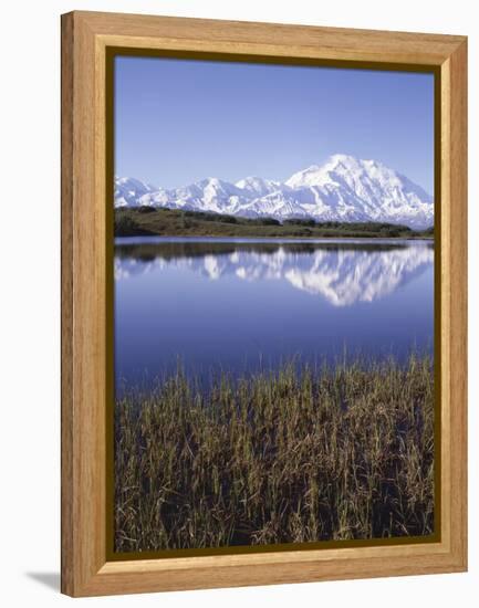 Tundra Pond in Summer, Denali National Park, Mount Mckinley, Alaska, Usa-Gerry Reynolds-Framed Premier Image Canvas