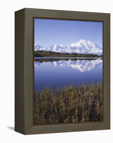 Tundra Pond in Summer, Denali National Park, Mount Mckinley, Alaska, Usa-Gerry Reynolds-Framed Premier Image Canvas