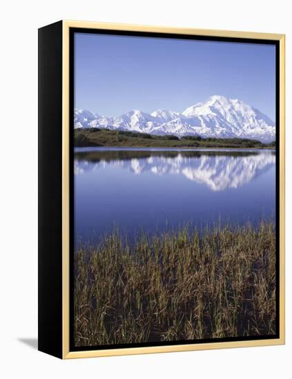 Tundra Pond in Summer, Denali National Park, Mount Mckinley, Alaska, Usa-Gerry Reynolds-Framed Premier Image Canvas