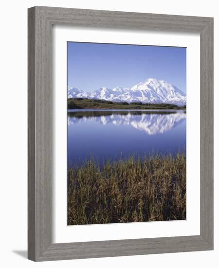 Tundra Pond in Summer, Denali National Park, Mount Mckinley, Alaska, Usa-Gerry Reynolds-Framed Photographic Print