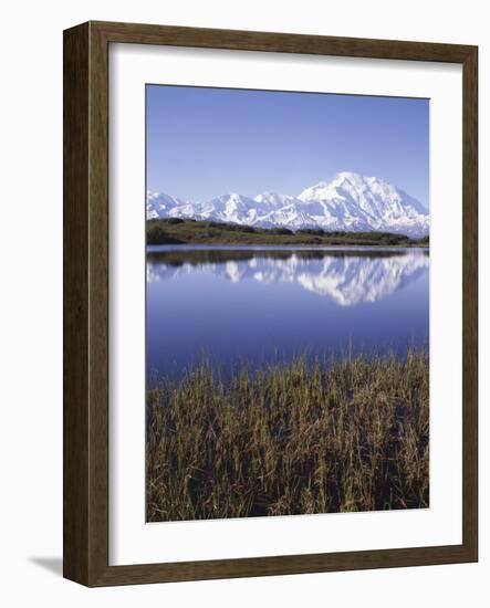 Tundra Pond in Summer, Denali National Park, Mount Mckinley, Alaska, Usa-Gerry Reynolds-Framed Photographic Print