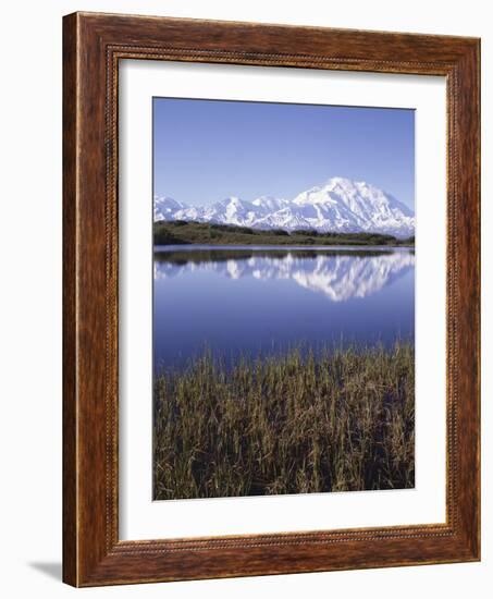 Tundra Pond in Summer, Denali National Park, Mount Mckinley, Alaska, Usa-Gerry Reynolds-Framed Photographic Print