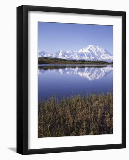 Tundra Pond in Summer, Denali National Park, Mount Mckinley, Alaska, Usa-Gerry Reynolds-Framed Photographic Print