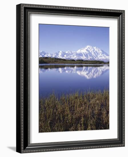 Tundra Pond in Summer, Denali National Park, Mount Mckinley, Alaska, Usa-Gerry Reynolds-Framed Photographic Print