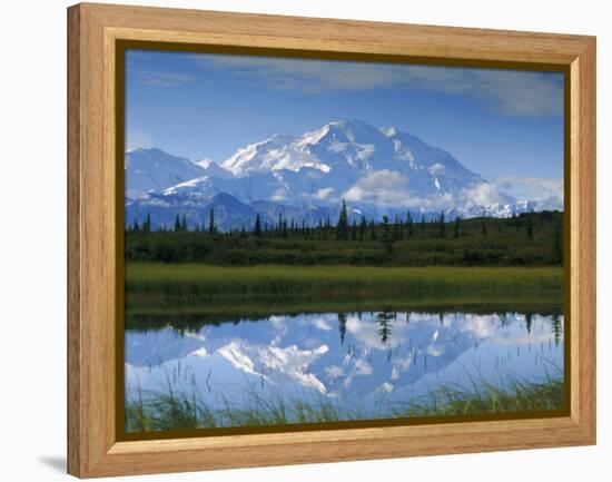 Tundra Ponds, Mt. Mckinley, AK-Frank Staub-Framed Premier Image Canvas