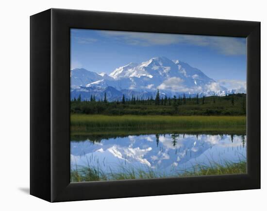 Tundra Ponds, Mt. Mckinley, AK-Frank Staub-Framed Premier Image Canvas