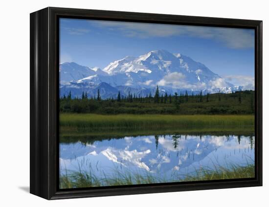 Tundra Ponds, Mt. Mckinley, AK-Frank Staub-Framed Premier Image Canvas