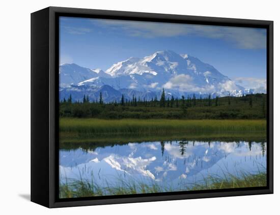 Tundra Ponds, Mt. Mckinley, AK-Frank Staub-Framed Premier Image Canvas