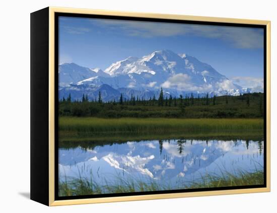 Tundra Ponds, Mt. Mckinley, AK-Frank Staub-Framed Premier Image Canvas