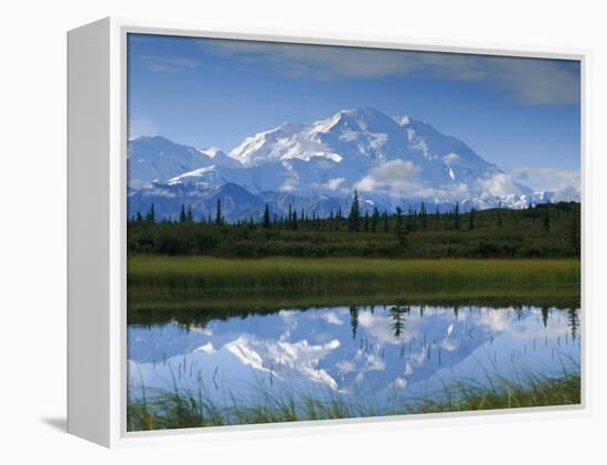 Tundra Ponds, Mt. Mckinley, AK-Frank Staub-Framed Premier Image Canvas