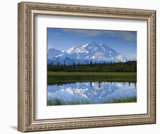 Tundra Ponds, Mt. Mckinley, AK-Frank Staub-Framed Photographic Print