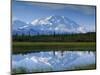 Tundra Ponds, Mt. Mckinley, AK-Frank Staub-Mounted Photographic Print