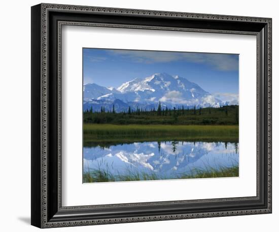 Tundra Ponds, Mt. Mckinley, AK-Frank Staub-Framed Photographic Print