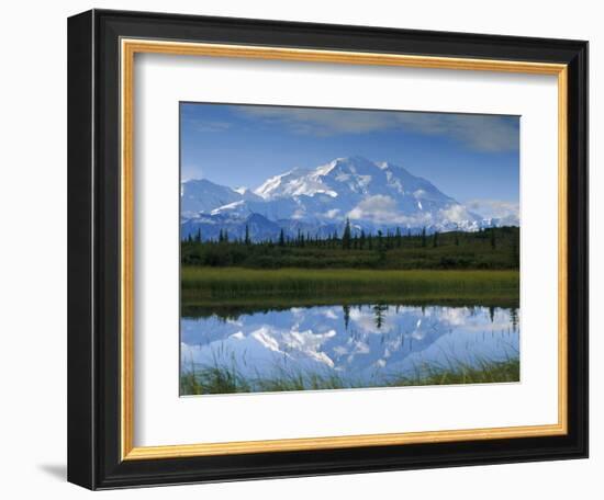 Tundra Ponds, Mt. Mckinley, AK-Frank Staub-Framed Photographic Print