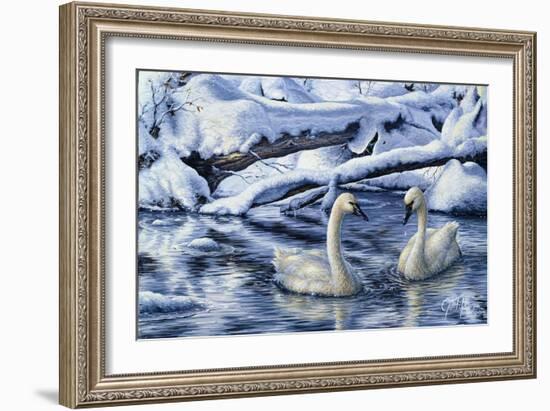 Tundra Swans-Jeff Tift-Framed Giclee Print