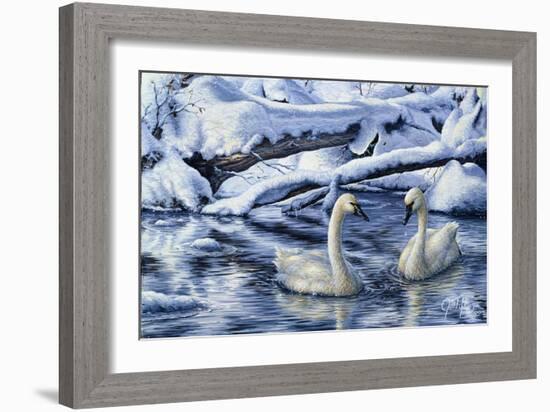 Tundra Swans-Jeff Tift-Framed Giclee Print