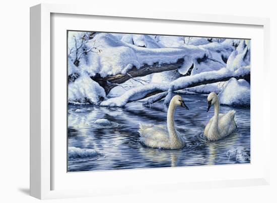 Tundra Swans-Jeff Tift-Framed Giclee Print