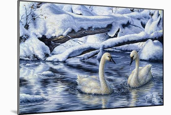 Tundra Swans-Jeff Tift-Mounted Giclee Print
