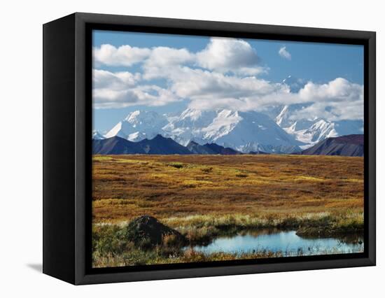 Tundra West of the Eieson Visitors Center, Pond with Beaver House, Mt. Denali, Alaska, USA-Charles Sleicher-Framed Premier Image Canvas