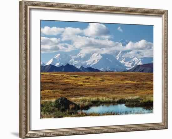 Tundra West of the Eieson Visitors Center, Pond with Beaver House, Mt. Denali, Alaska, USA-Charles Sleicher-Framed Photographic Print