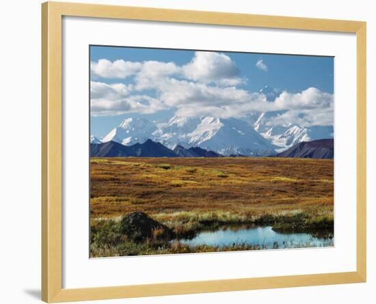 Tundra West of the Eieson Visitors Center, Pond with Beaver House, Mt. Denali, Alaska, USA-Charles Sleicher-Framed Photographic Print