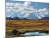 Tundra West of the Eieson Visitors Center, Pond with Beaver House, Mt. Denali, Alaska, USA-Charles Sleicher-Mounted Photographic Print