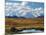 Tundra West of the Eieson Visitors Center, Pond with Beaver House, Mt. Denali, Alaska, USA-Charles Sleicher-Mounted Photographic Print