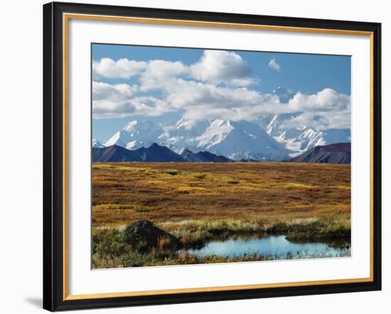 Tundra West of the Eieson Visitors Center, Pond with Beaver House, Mt. Denali, Alaska, USA-Charles Sleicher-Framed Photographic Print