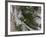 Tunguska Event-Joe Tucciarone-Framed Photographic Print