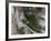 Tunguska Event-Joe Tucciarone-Framed Photographic Print