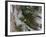 Tunguska Event-Joe Tucciarone-Framed Photographic Print