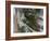 Tunguska Event-Joe Tucciarone-Framed Photographic Print