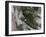 Tunguska Event-Joe Tucciarone-Framed Photographic Print