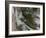 Tunguska Event-Joe Tucciarone-Framed Photographic Print