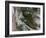 Tunguska Event-Joe Tucciarone-Framed Photographic Print