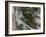 Tunguska Event-Joe Tucciarone-Framed Photographic Print