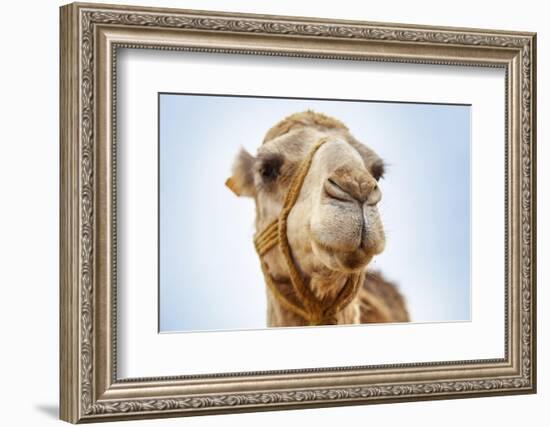 Tunisia 28-Ben Heine-Framed Photographic Print