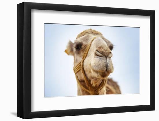 Tunisia 28-Ben Heine-Framed Photographic Print