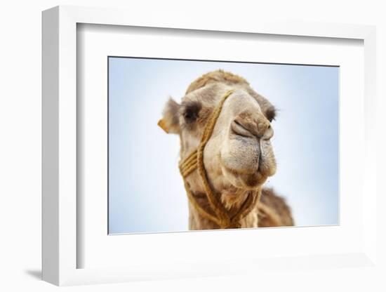 Tunisia 28-Ben Heine-Framed Photographic Print